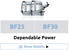 Show Details Dependable Power BF25 BF30
