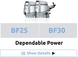 Show Details Dependable Power BF25 BF30