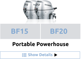 Show Details BF15 BF20  Portable Powerhouse