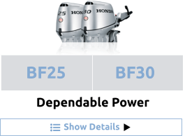 Show Details Dependable Power BF25 BF30
